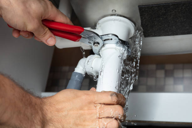Best Local water damage restoration  in Lakes East, CT