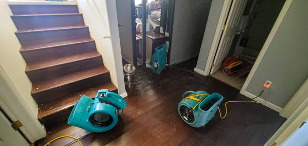 Best Water damage restoration services  in Lakes East, CT