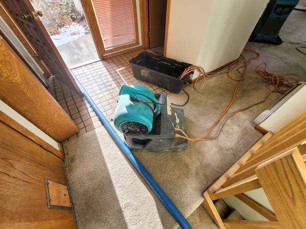Best 24/7 water damage repair  in Lakes East, CT